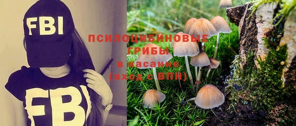 a pvp Покровск