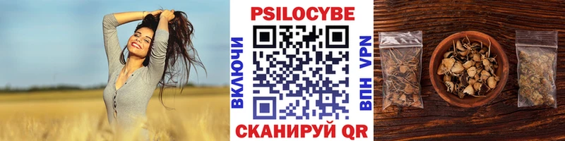 Галлюциногенные грибы Cubensis  Себеж 